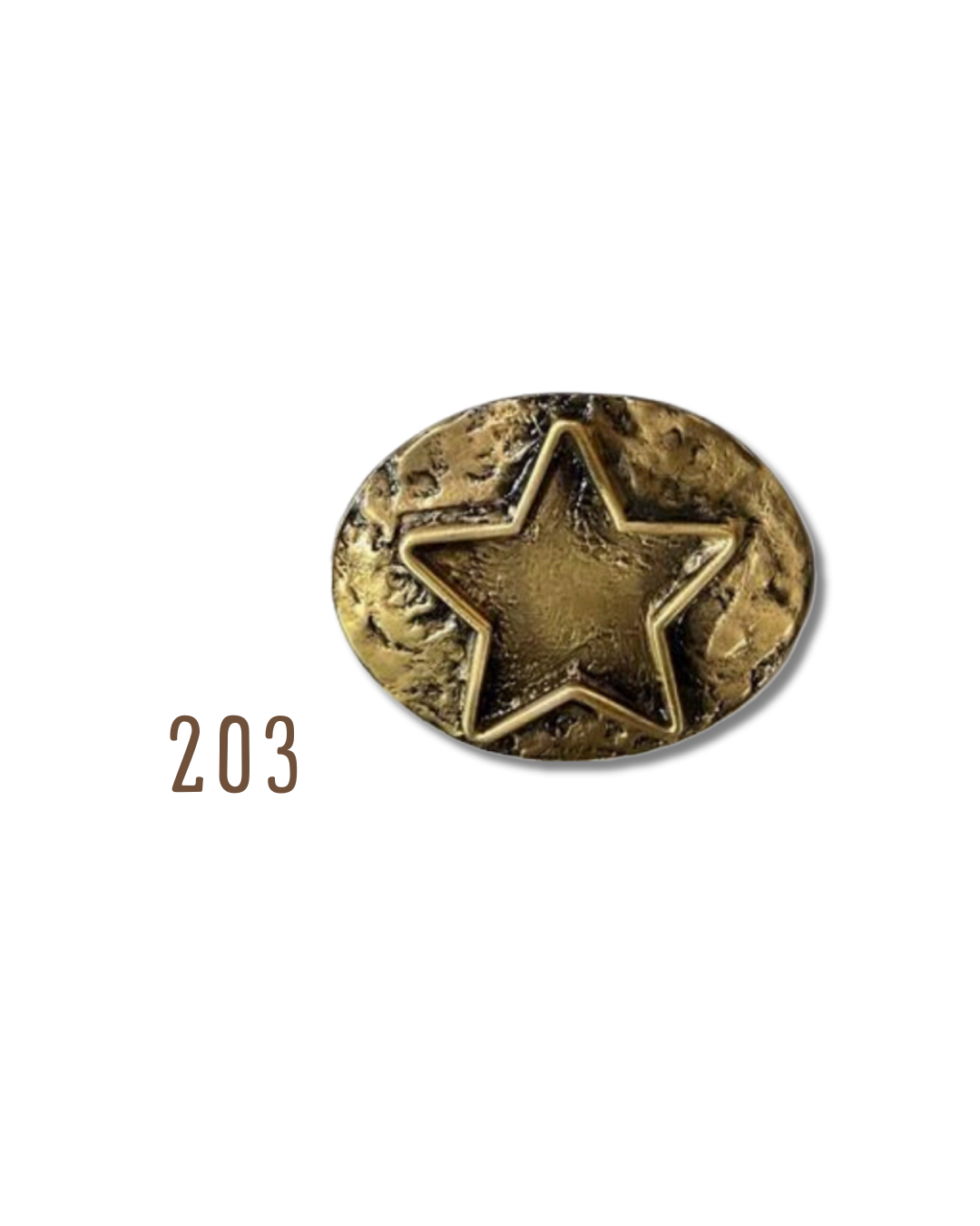 Hebilla Estrella Dorada 203