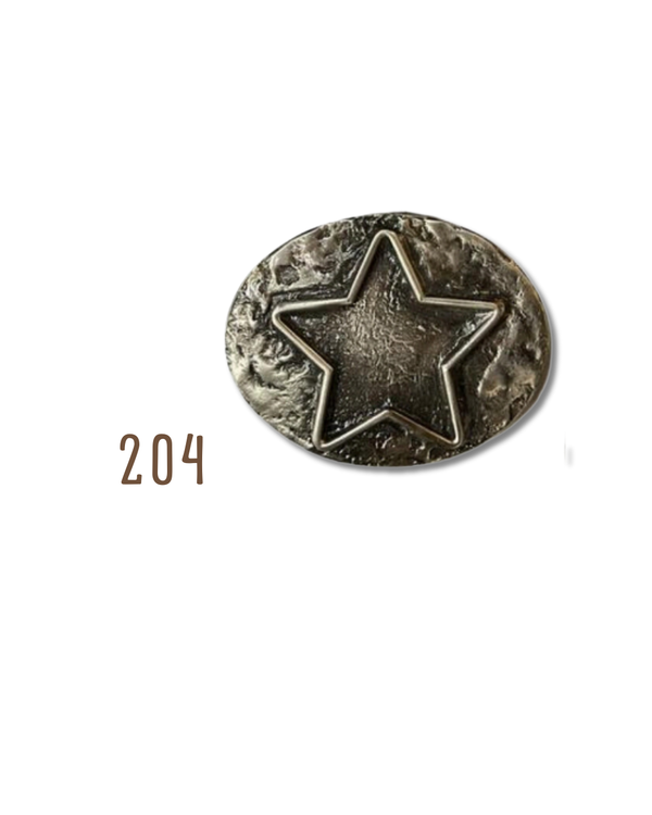 Hebilla Estrella Plata 204